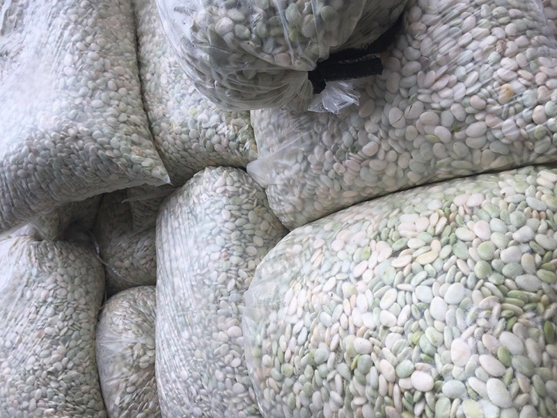 洋扁豆瓣
