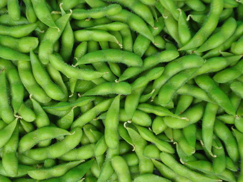 Edamame