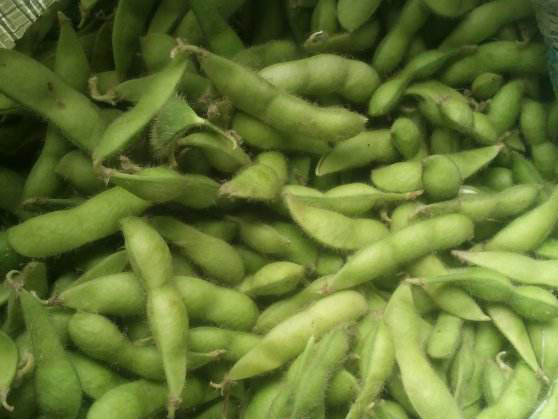 Edamame