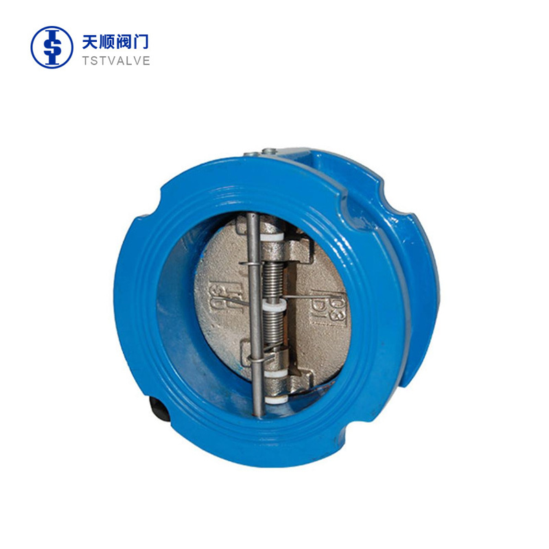 Double plate check valve