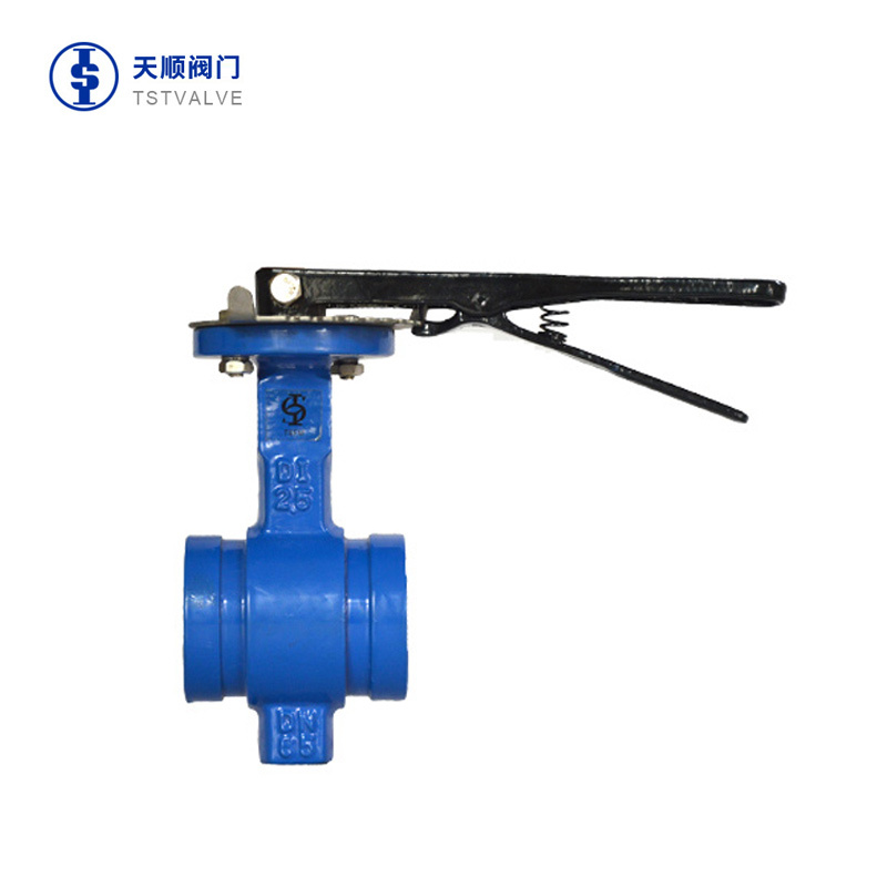 Clamp butterfly valve