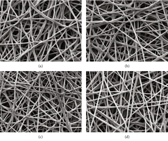 具有不同相对浓度ZnO NP的PVA/ZnO纳米纤维的FE-SEM图像