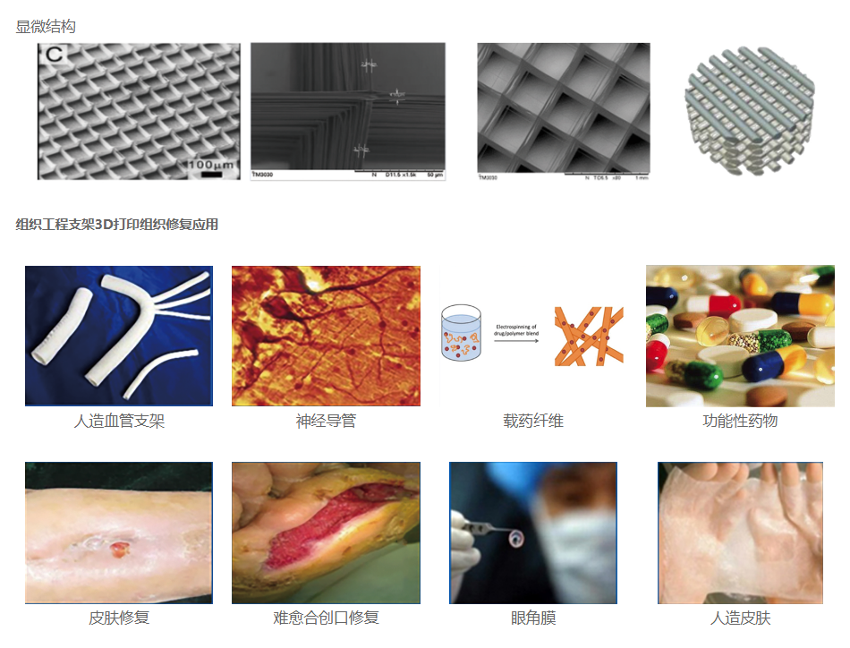 组织工程支架微纳3D打印设备