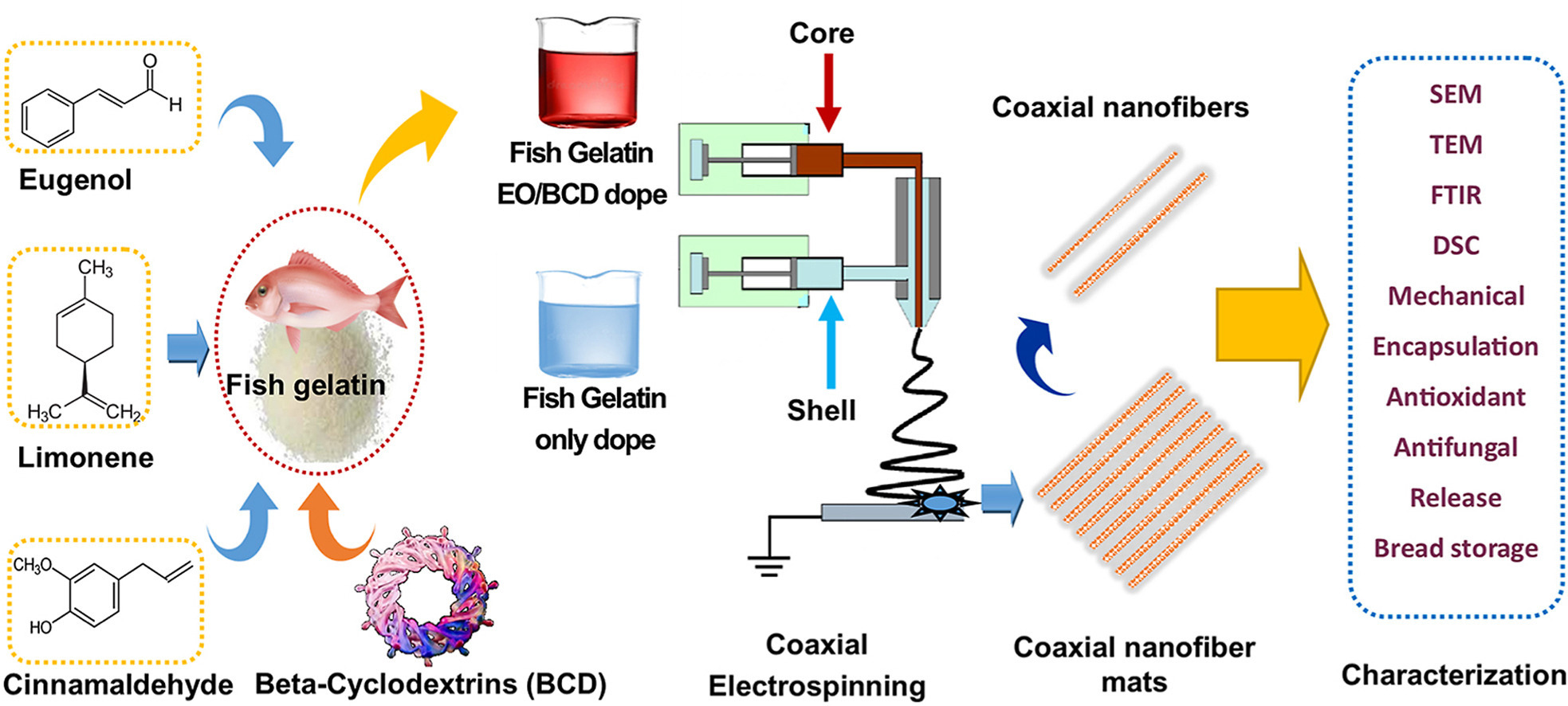 通過同軸靜電紡絲將精油雙重包封在 β-環糊精/魚明膠基質中，增強魚膠墊的功能特性