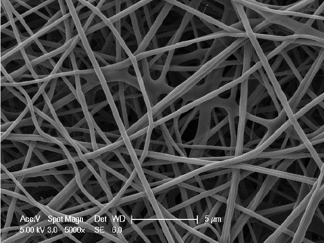 纤维素纳米纤丝图片