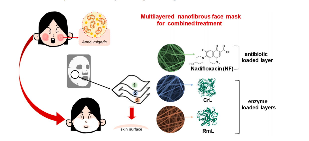 复合纳米纤维面膜:脂肪酶的共同配方 静电纺丝技术制备的抗菌剂