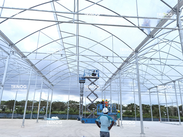 Singapore Vertical Growing Vegetable Greenhouse