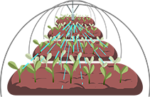 Système agricole