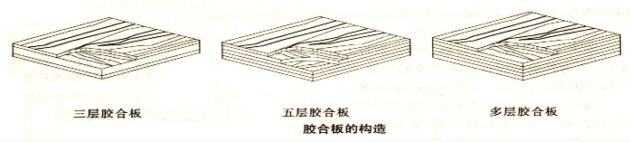 一篇文章帶你全面了解膠合板