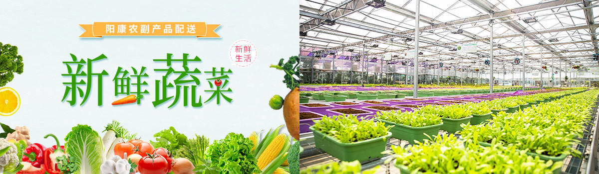 天河区蔬菜配送公司具体介绍如何做好蔬菜配送管理