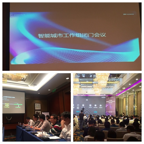 Tongzhou Electronics attended the ICA Alliance Working Group Meeting and was awarded the Senior Member Unit