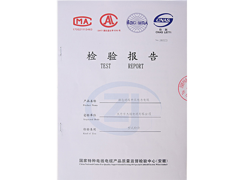 Inspection Report Inspection Report