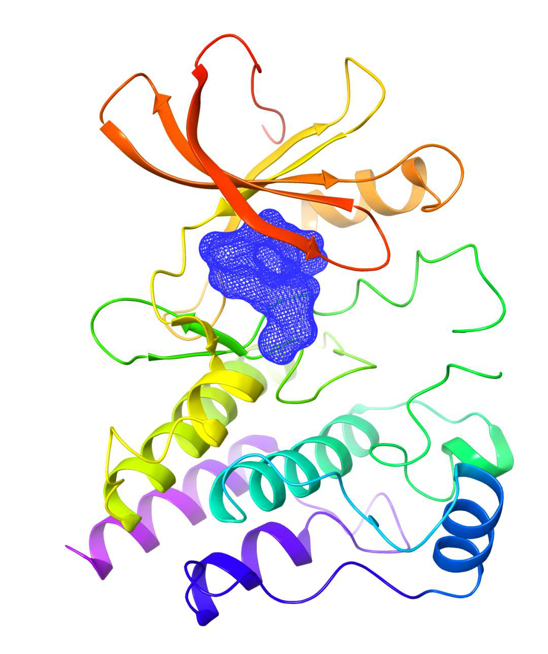 泽布替尼与BTK蛋白复合物晶体结构示意图