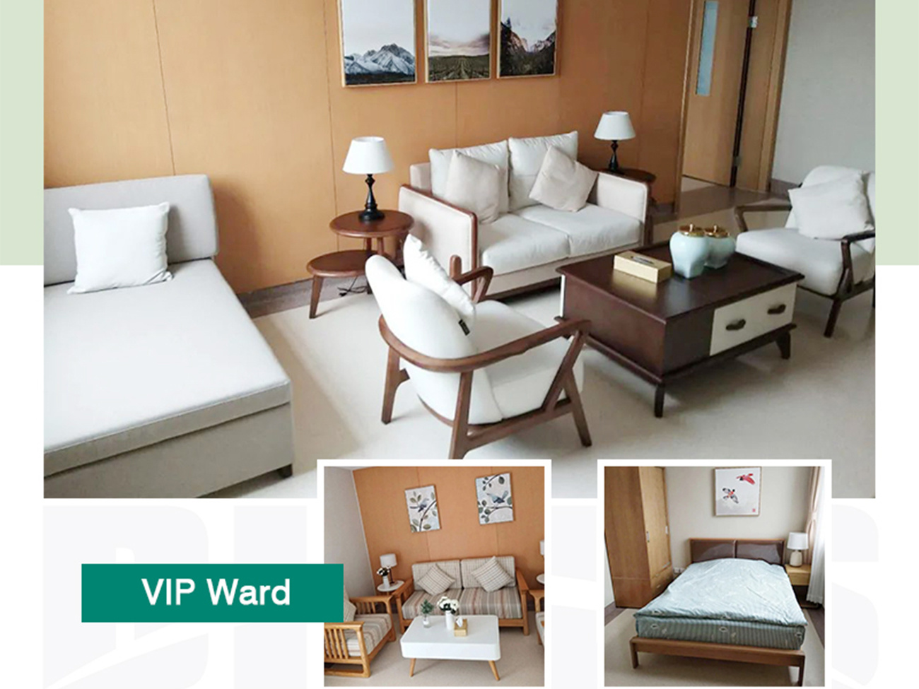 Healthcare Furniture Solution VIP Room