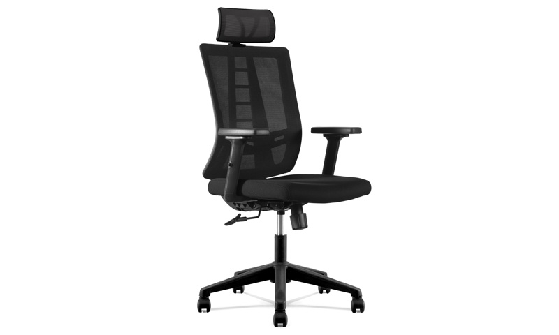 DX6927 Executive chair-1