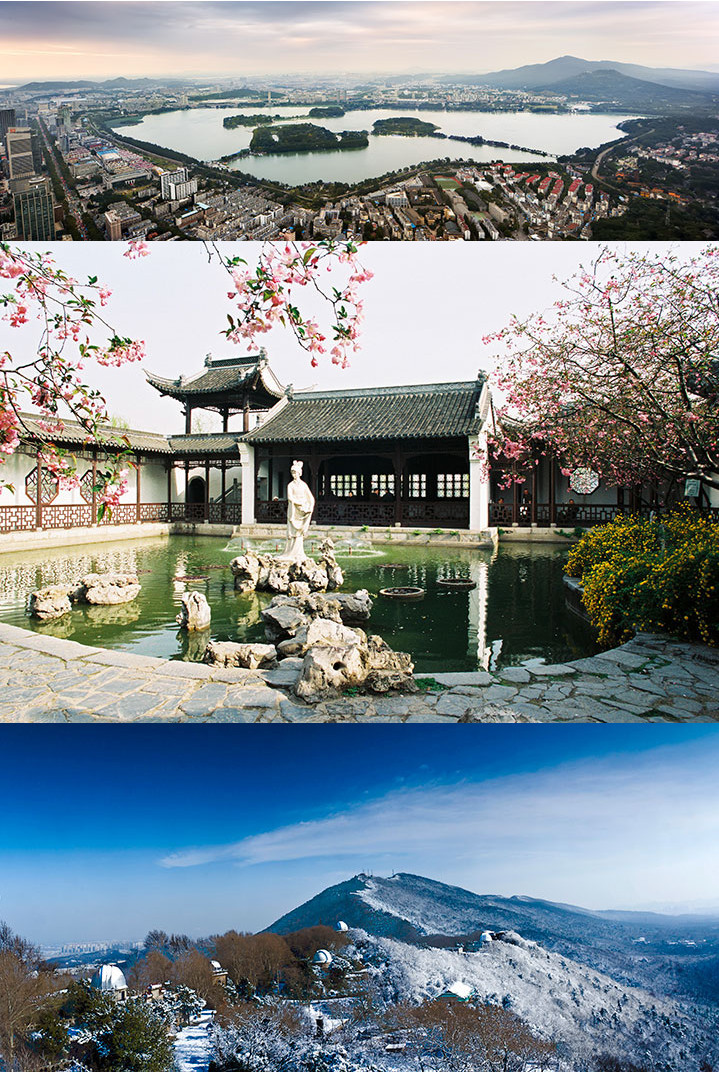 图书