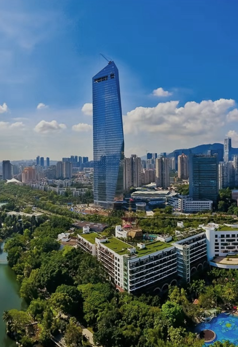 Overseas Chinese Town Group