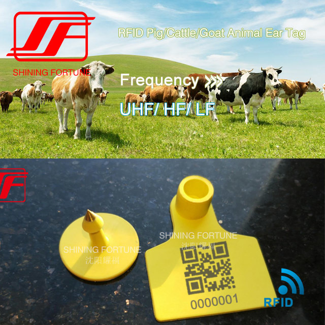 RFID Pig/Cattle/Goat Animal Ear Tag