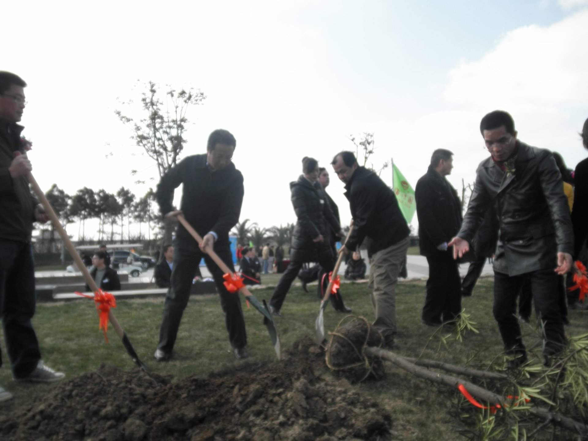 2012年度上海“保护母亲河”青少年植树行动