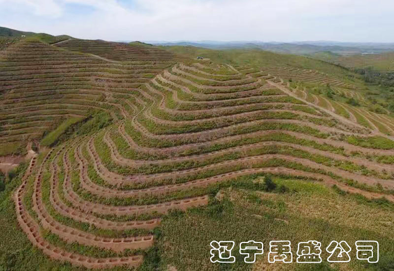 辽宁禹盛生态
