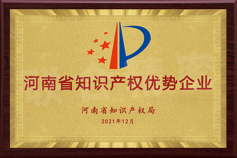 Henan Province Intellectual Property Advantage Enterprise