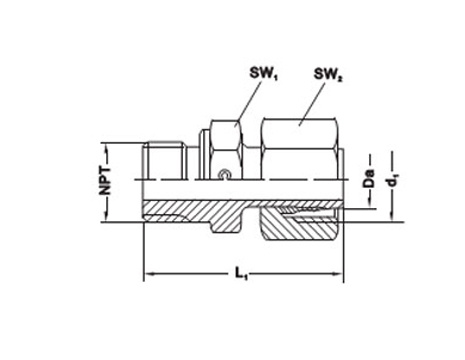 C-EVGE-NPT