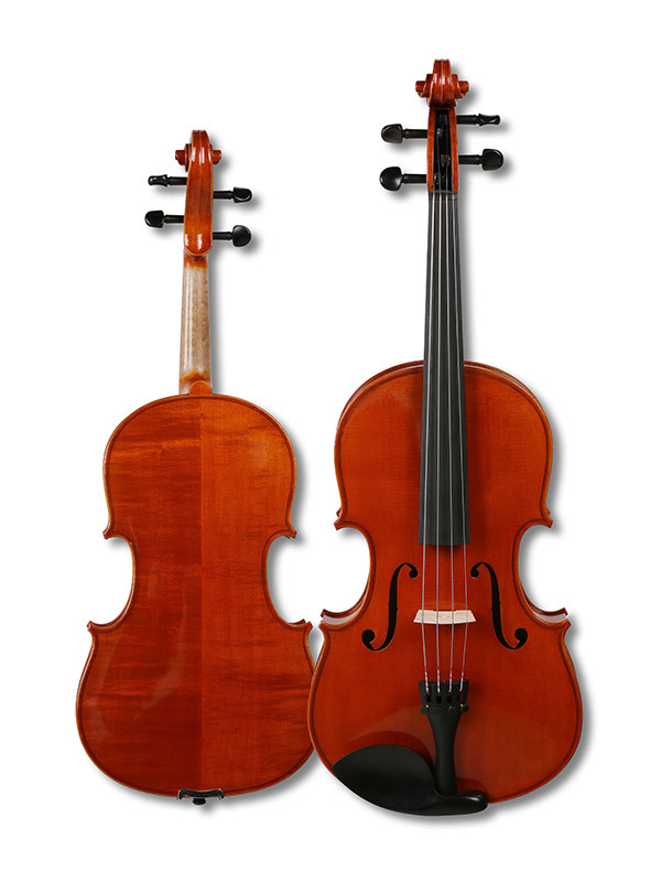 中提琴D1級