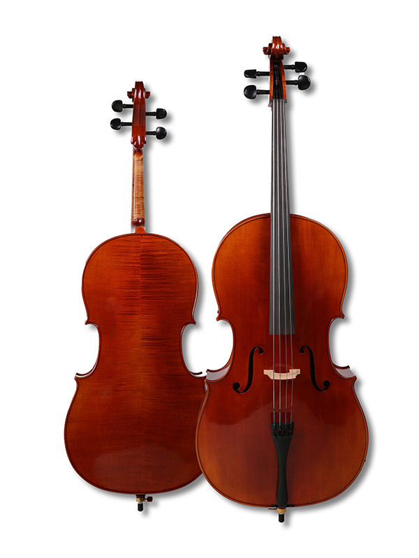大提琴B級