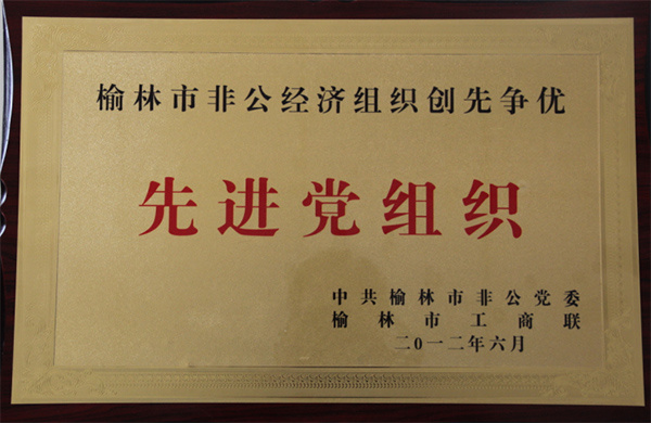 榆林市非公经济组织创先争优先进党组织