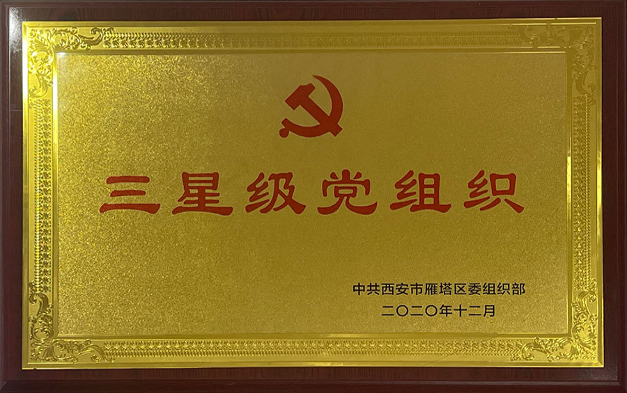 三星级党组织