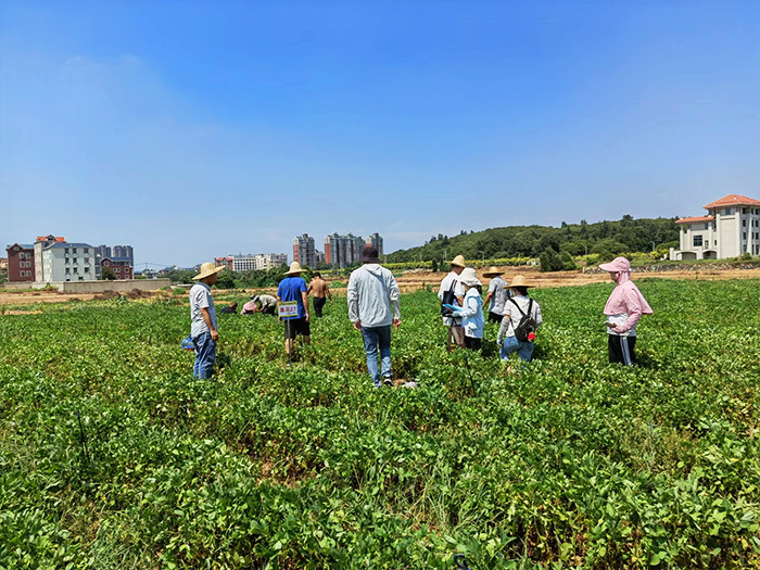 福州市種子站，福清市種子站，今天到國田農(nóng)業(yè)基地視察！