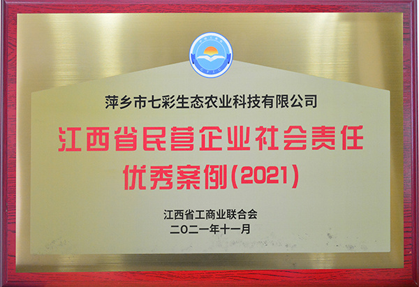 江西省民營企業(yè)社會責(zé)任優(yōu)秀案例2021