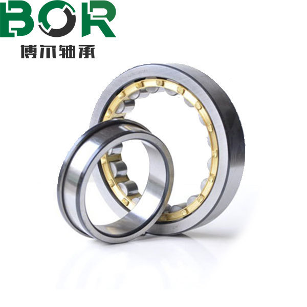 NJ Series Cylingrical roller bearings
