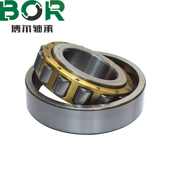 N Series Cylingrical roller bearings