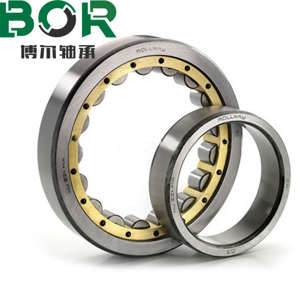 NU Series Cylingrical roller bearings