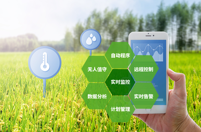 信息政策