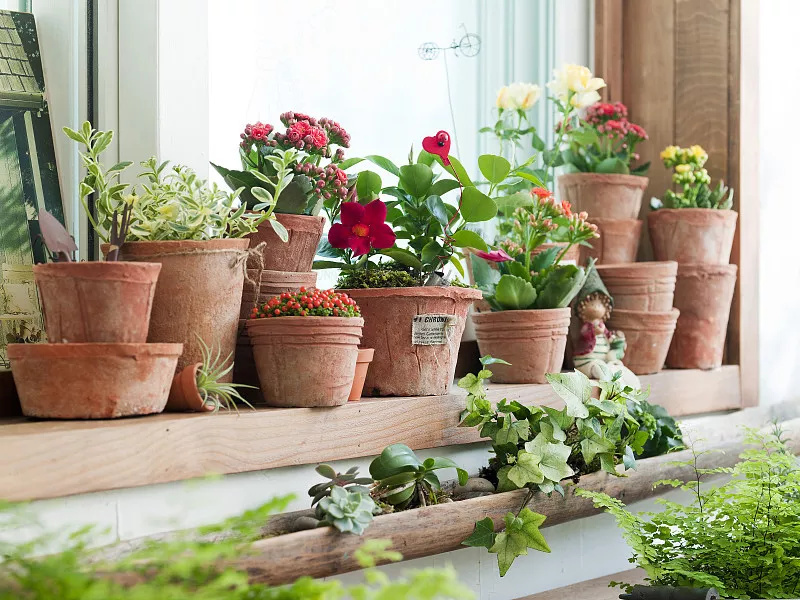 Plastic Decor