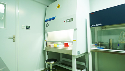 Biological safety cabinet