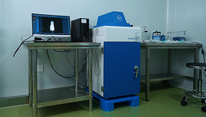 In vivo imaging system