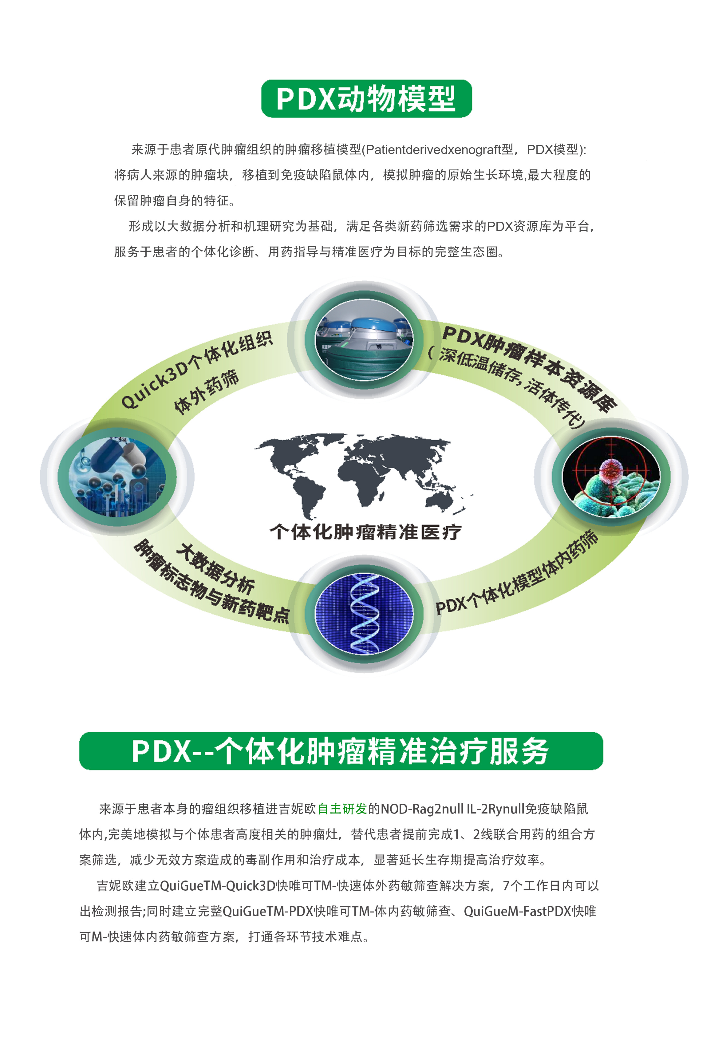 PDX模型