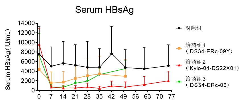 AAV/HBV诱导的慢性HBV感染啮齿小鼠动物模型