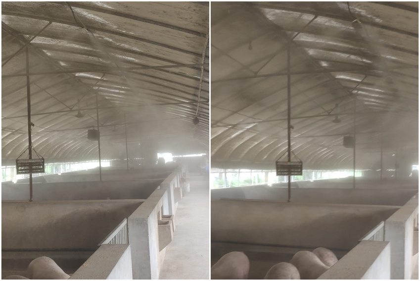 Changshu pig farm deodorization and disinfection