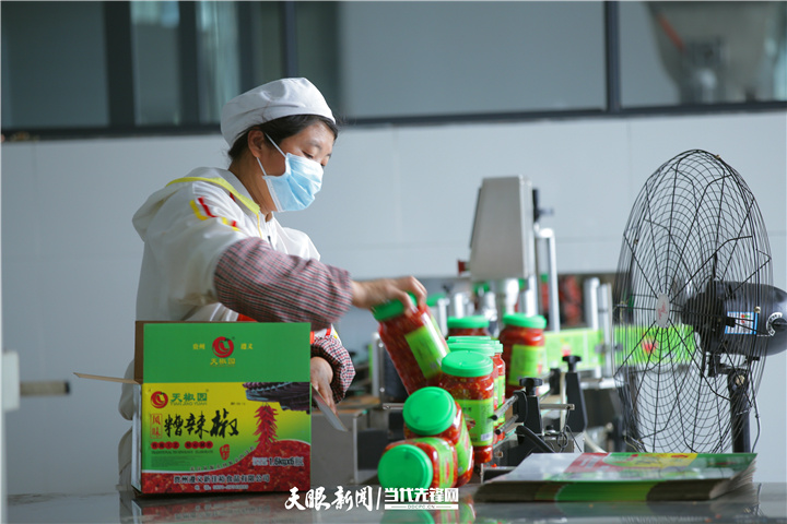 【链上贵州】辣椒“朋友圈”越来越大3多元加工锦上添花