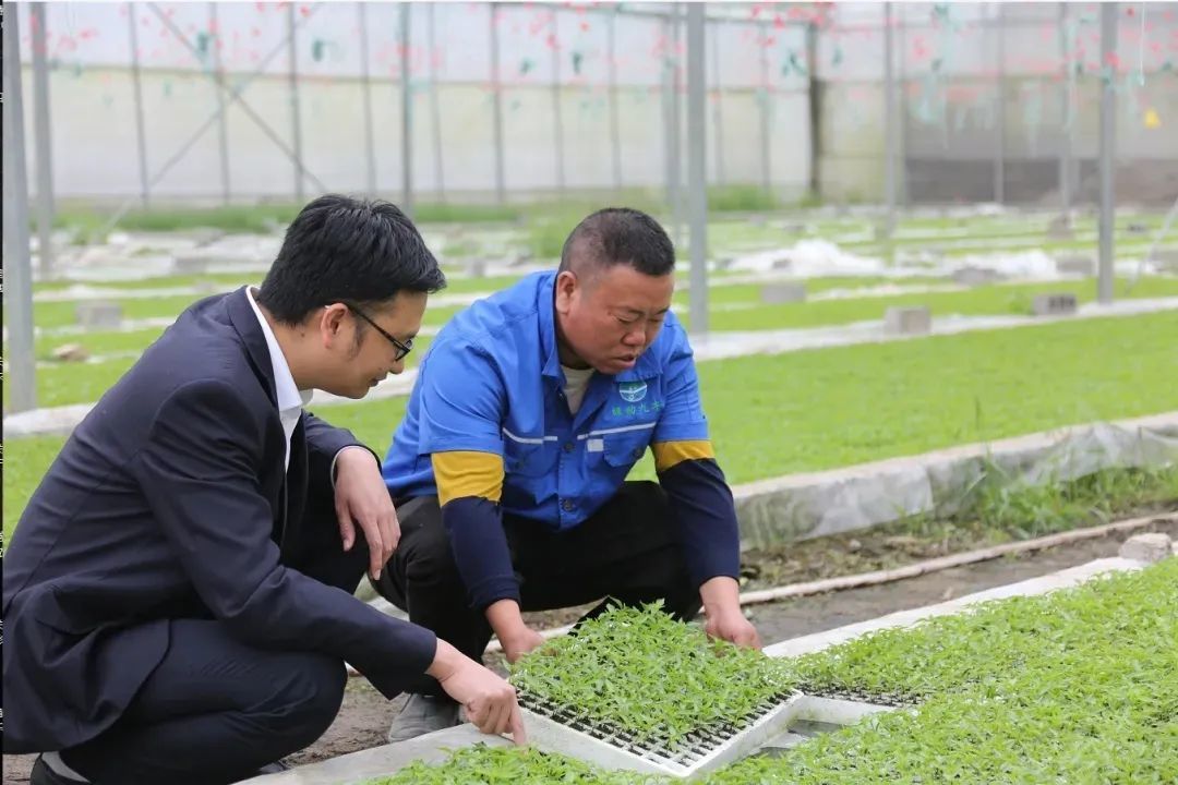 我为群众办实事 | 遵义：助力花茂村“旧貌”换“新颜”