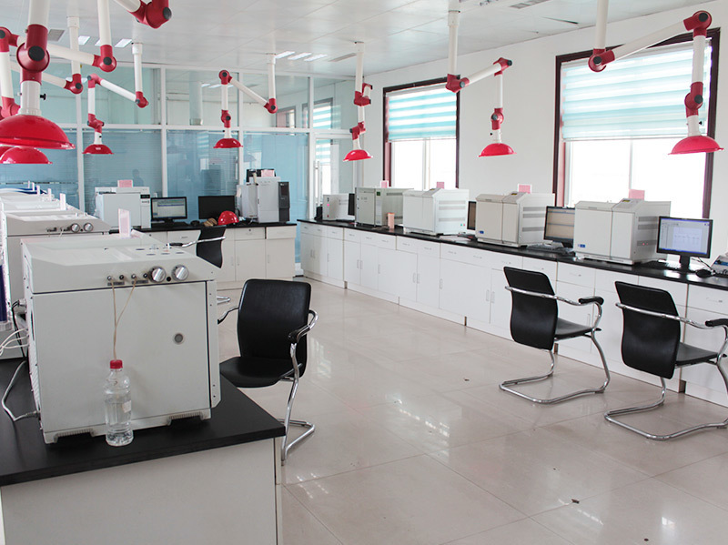 Chromatographic analysis room on the first floor