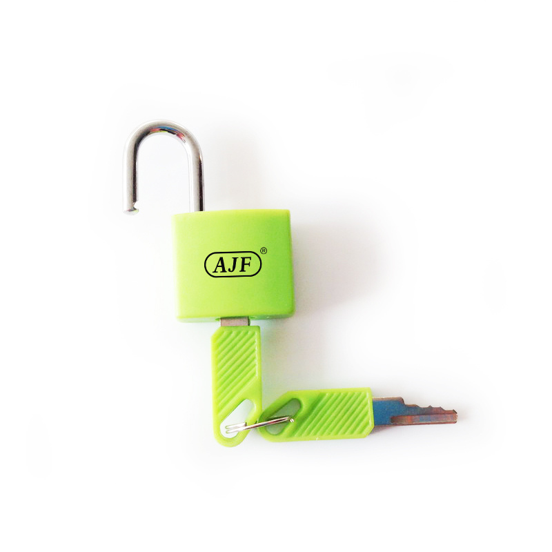 Mini Luggage Brass Padlock