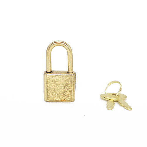 Mini Diary Locks and Clasp Gold