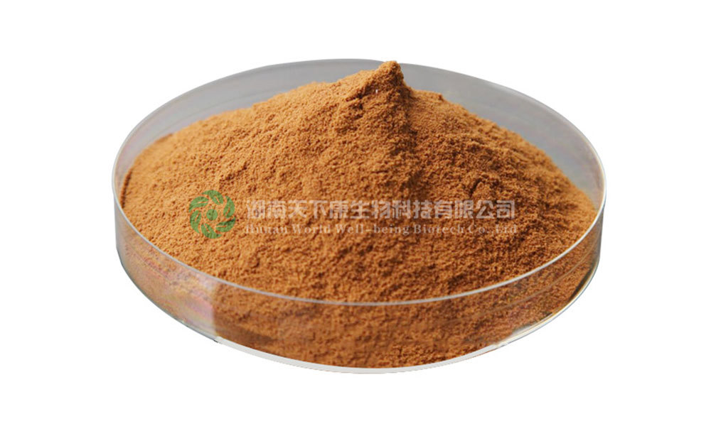 綠茶提取物