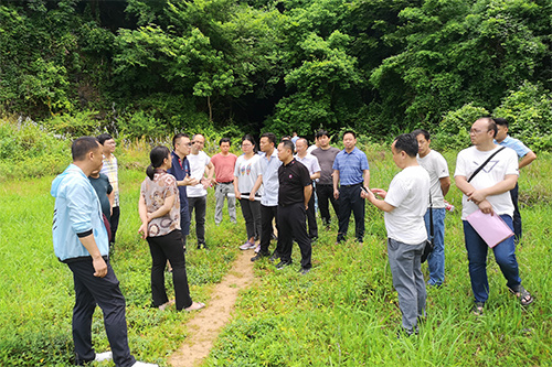 積極服務臨武縣石門龍宮景區(qū)規(guī)劃設計項目