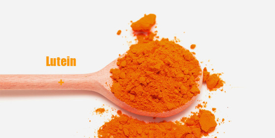 Lutein powder , lutein supplier